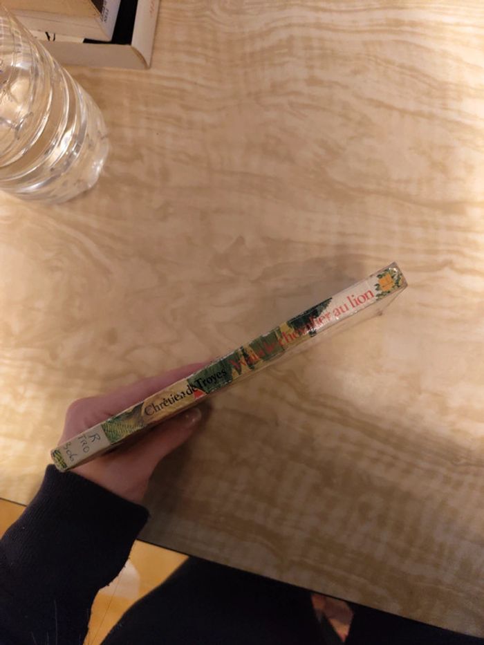 Yvain le chevalier au lion - photo numéro 3