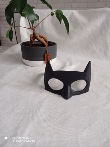 Lunettes Batman 