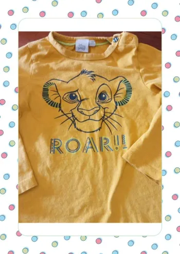Teeshirt manches longues le roi lion