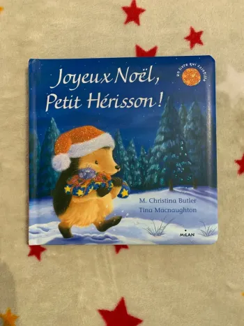 Joyeux Noël, Petit Hérisson – Petit format – Livre qui scintille