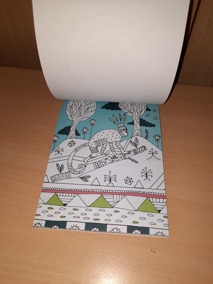 Carnet de coloriages - photo numéro 4