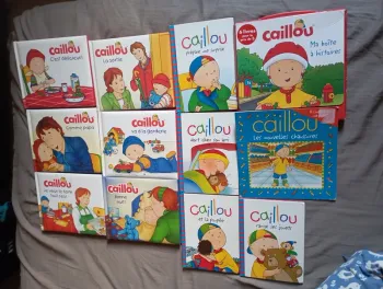 Lot de 17 livres caillou