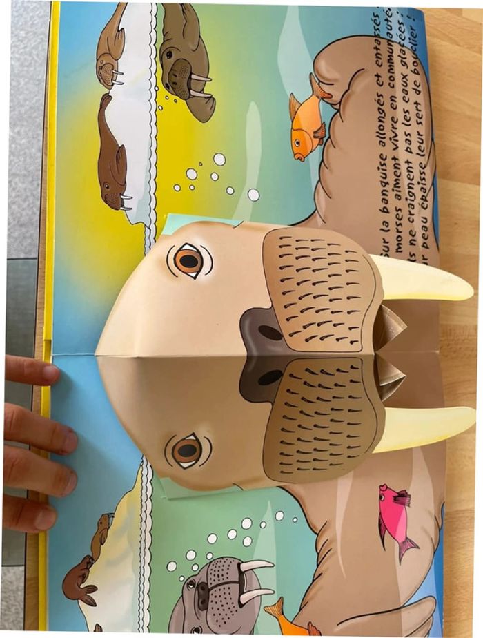 Livre animé pop up la mer édition piccolia - photo numéro 8