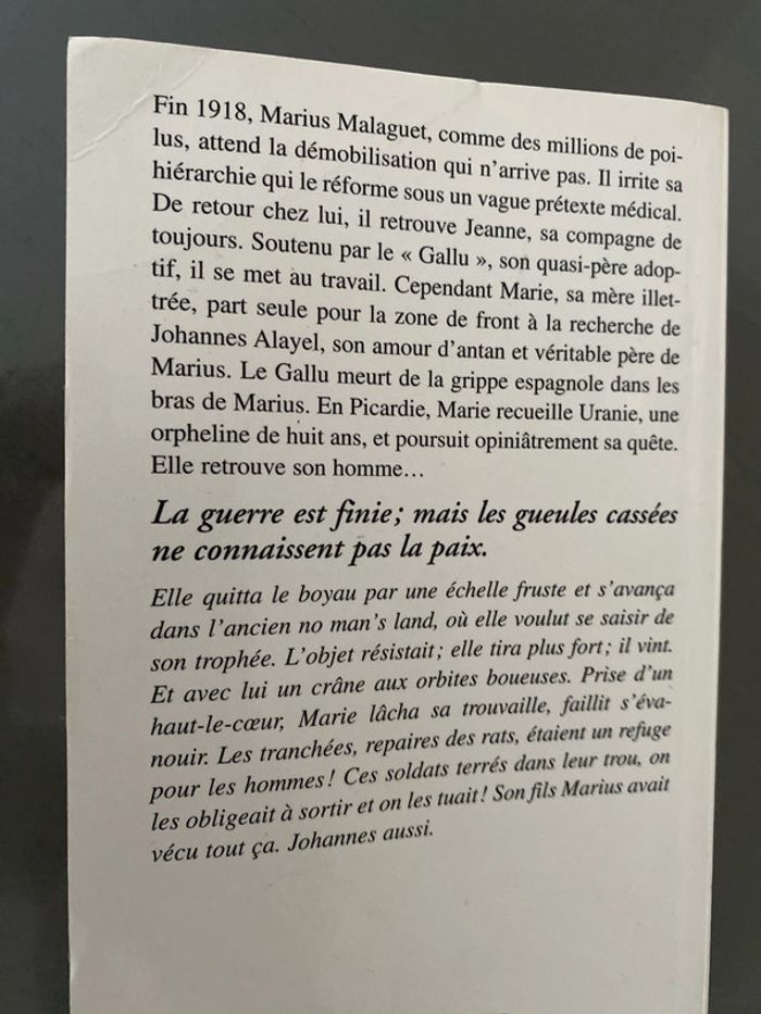 Le batard du bois noir - photo numéro 3
