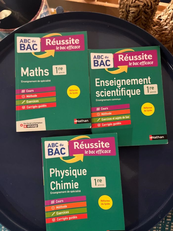 Lot livre pour le bac 1ere