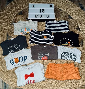 Lot tee shirt manches longues • 18m