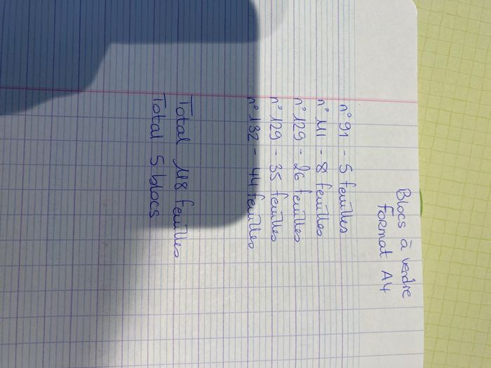 Lot 5 blocs Diddl A4 - photo numéro 4