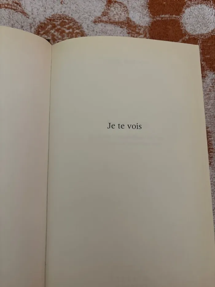 Je te vois - photo numéro 4