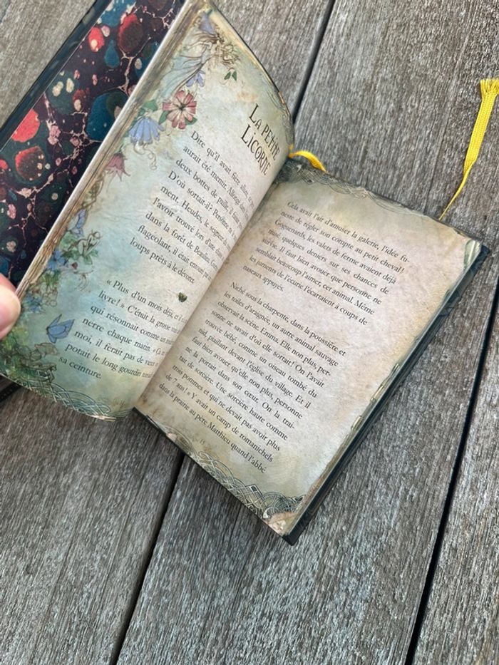 Lot de 2 livres petit grimoire - photo numéro 4