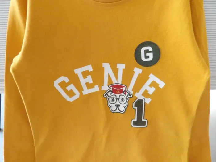 Tee shirt garçon 6 ans Petit Bateau - photo numéro 3