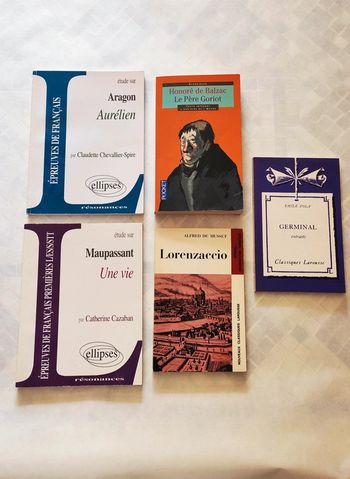 Lot livres de poche