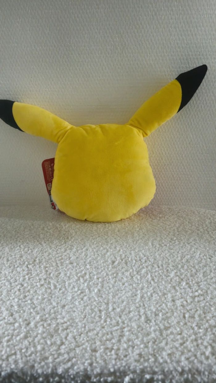 Pikatchou - photo numéro 2