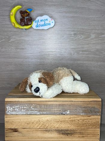 DDC321 doudou et compagnie chien 🐶