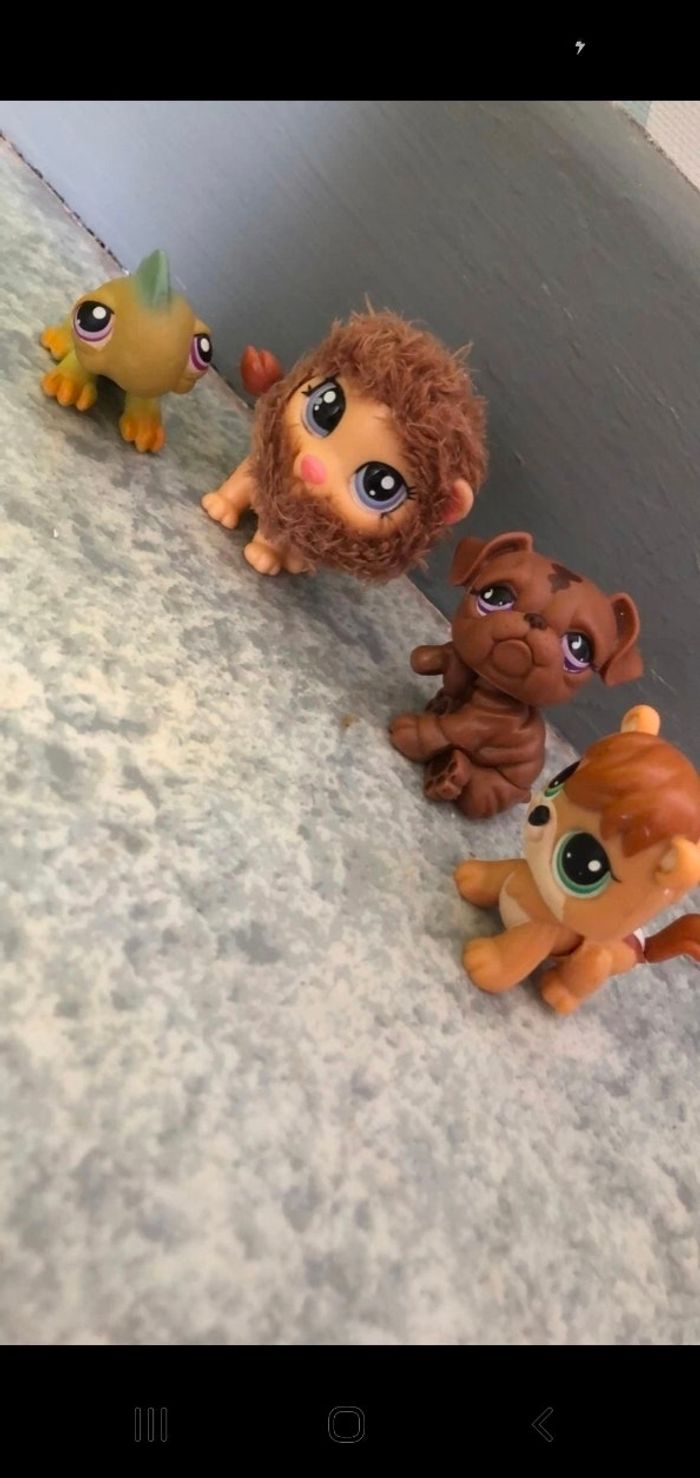 Pet shop