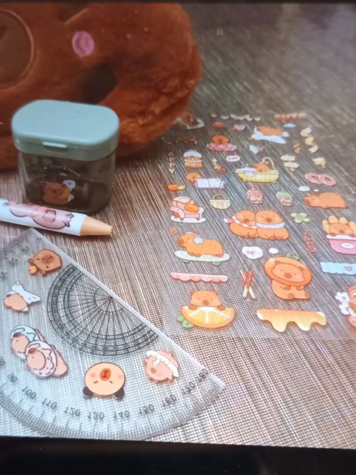 Trousse Capybara et ses accessoires - photo numéro 3
