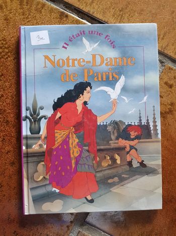 Livre notre dame de Paris collection il était une fois