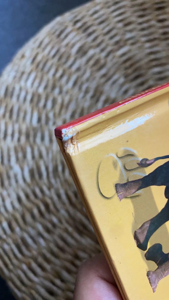 Animaux sauvages - photo numéro 3