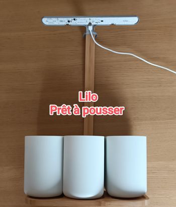 Lilo Connect potager intérieur connecté Prêt à pousser