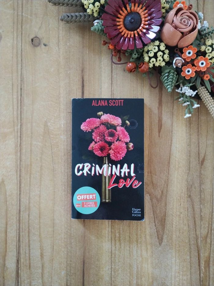 Criminal love - Alana Scott