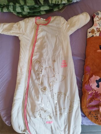 Gigoteuse Disney orchestra