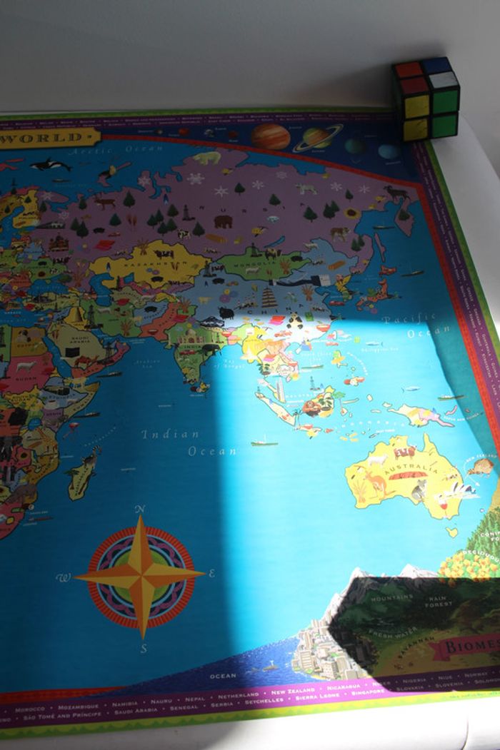 Eboo Pictorial Map of the world - photo numéro 5