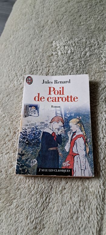 Livre poil de carotte 