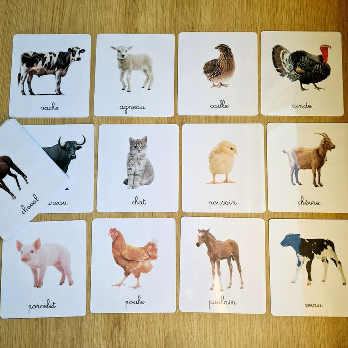 24 imagiers Animaux de la ferme / cartes de nomenclature - photo numéro 6