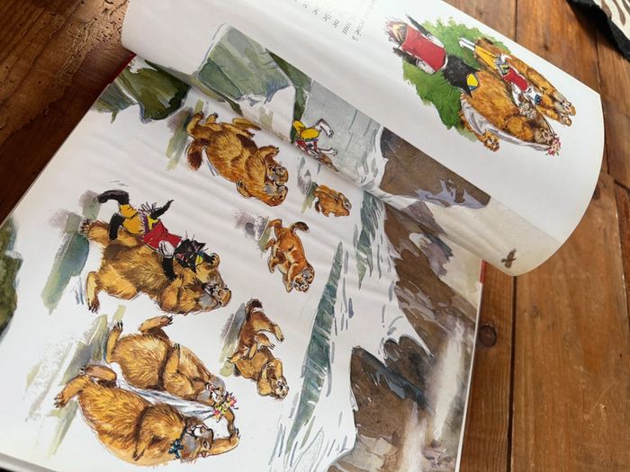 Moyen 2 - Livre édition limitée reliure rouge Caroline dans les Alpages Pierre Probst bd - photo numéro 12