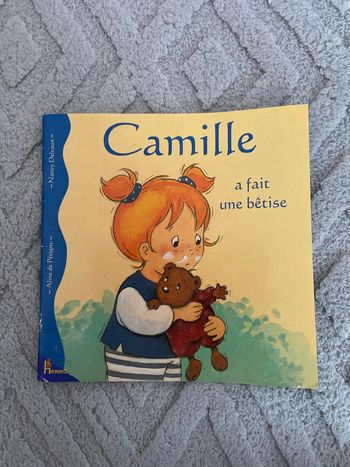 Camille a fait une bêtise