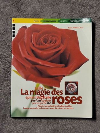 La magie des roses Par Marie-Hélène Loaëc