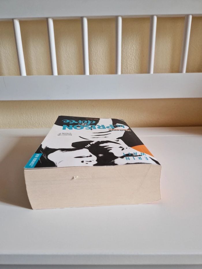 Livre New romance - photo numéro 5