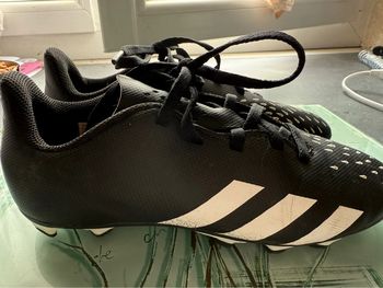 Chaussures Foot Adidas Predator