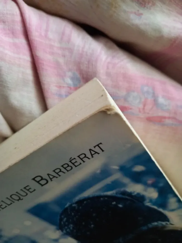 Livre l'instant précis où les destins s'entremêlent - photo numéro 3