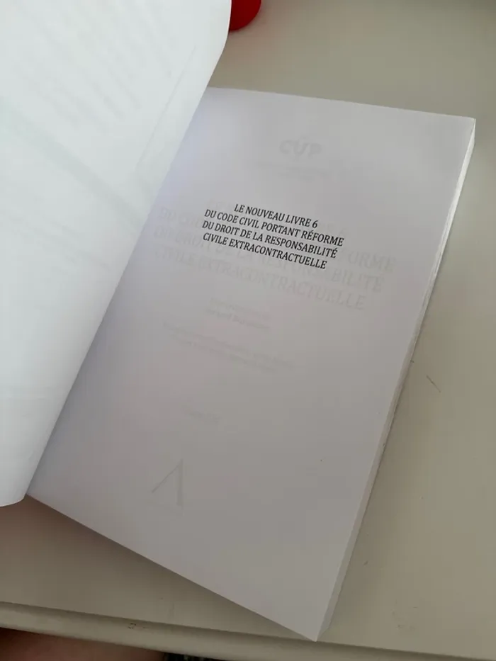 Livre le nouveau livre 6 du code portant réforme du droit de la responsabilité - photo numéro 4