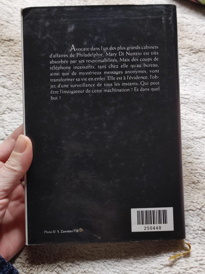 Dans l'ombre de Mary de Lisa scottoline - photo numéro 2