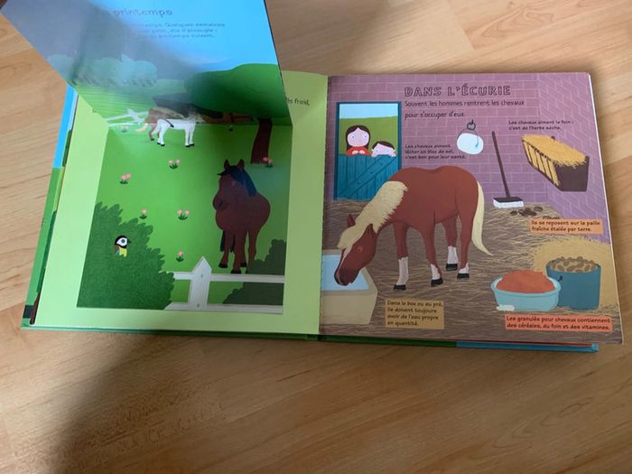 Kididoc les chevaux et les poneys - photo numéro 4