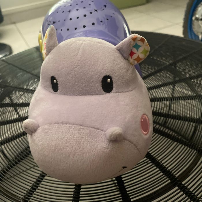 Hippopotame lumière  plafond et mélodies - photo numéro 4
