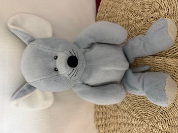 SOURIS LR LA REDOUTE GRELOT