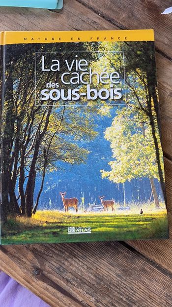 la vie cachée des sous - bois