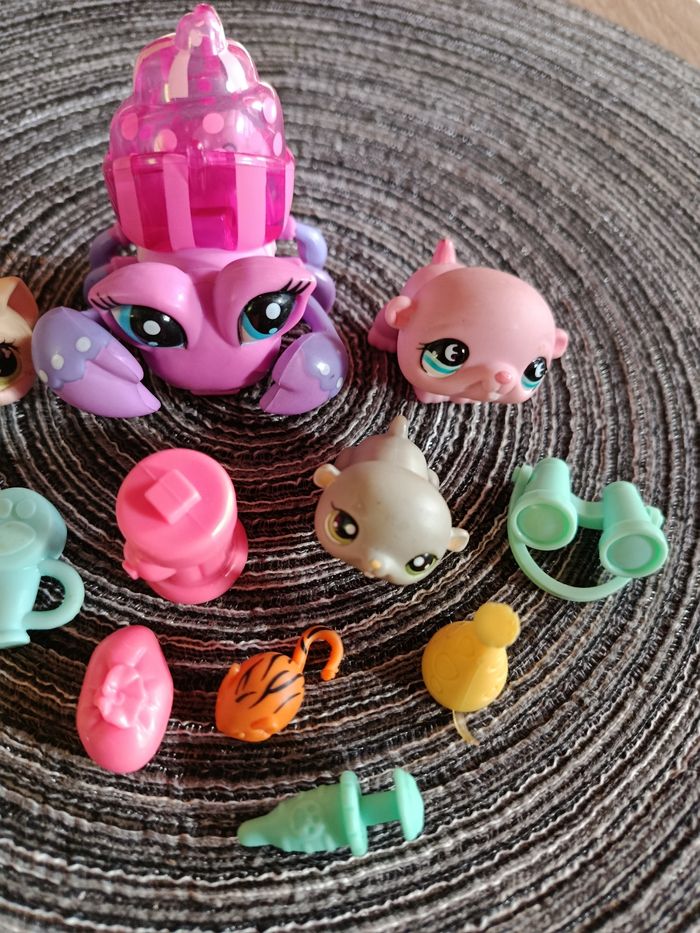 Pet shop - photo numéro 2