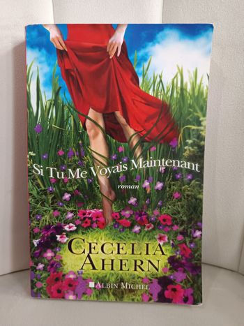 " Si tu me voyais maintenant "