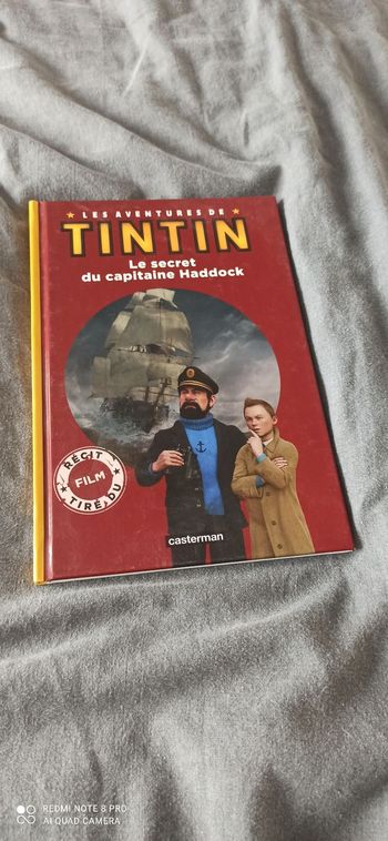 Livre le secret du capitaine haddock