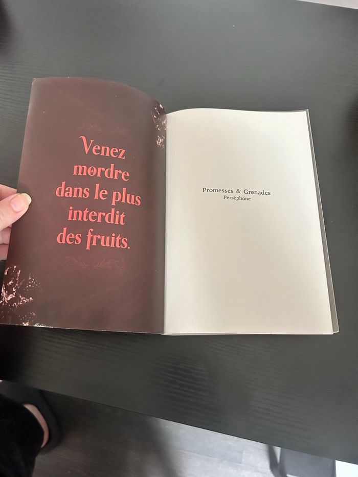Dark romance Promesses & Grenades - photo numéro 5