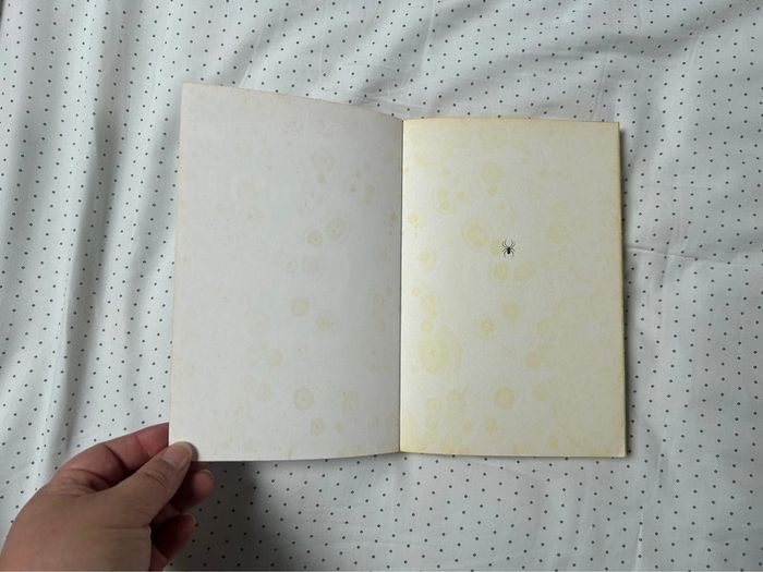 Livre L’araignée est une fine mouche - photo numéro 7