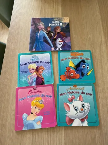 5 livres disneys princesse