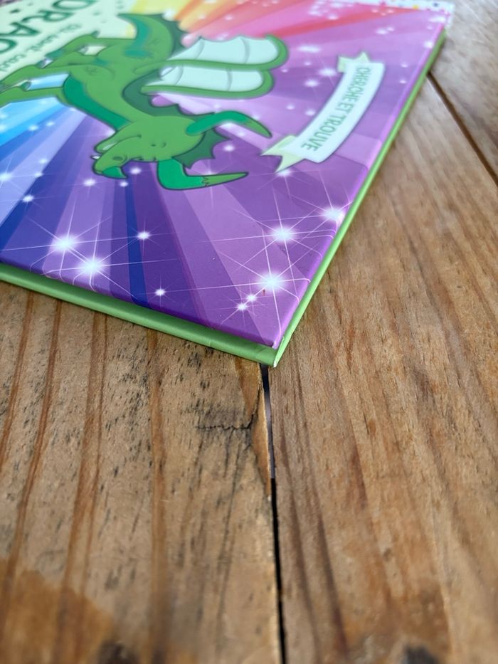 Où sont cachés les dragons ? - photo numéro 4