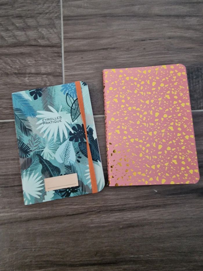 Lot de 2 carnets