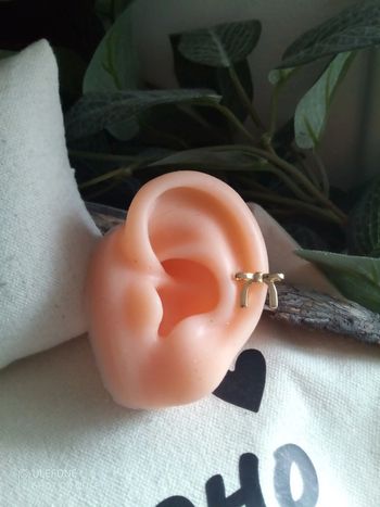 Clip oreille acier doré