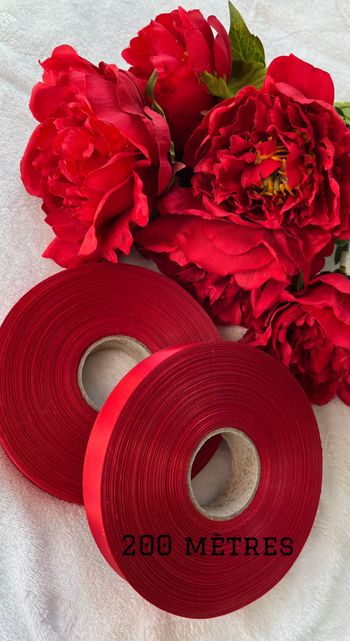 Lot de 2 bobines de rubans