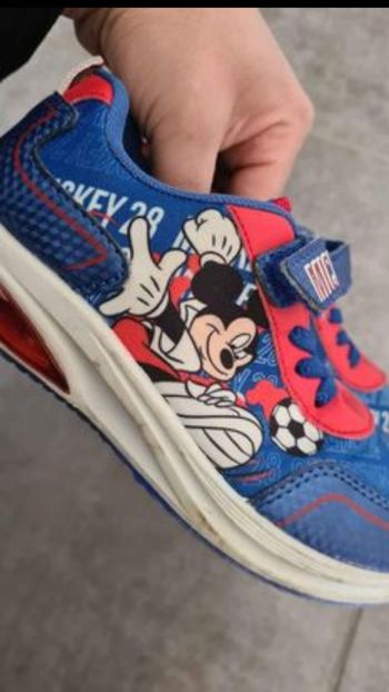 Basket Mickey